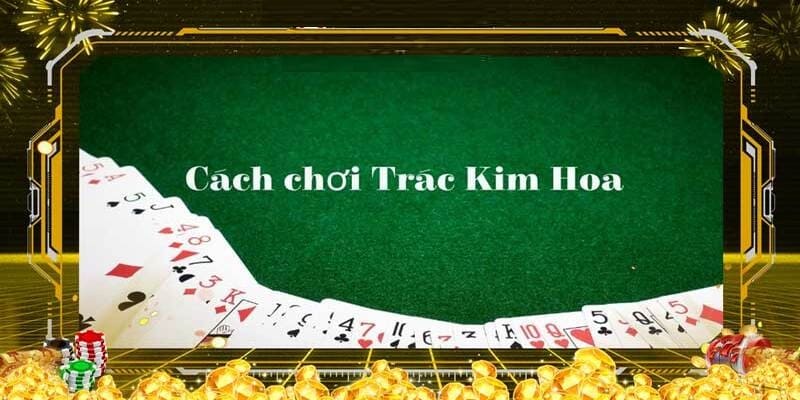 Trắc kim hoa có quy luật tham gia không quá khó để hiểu rõ