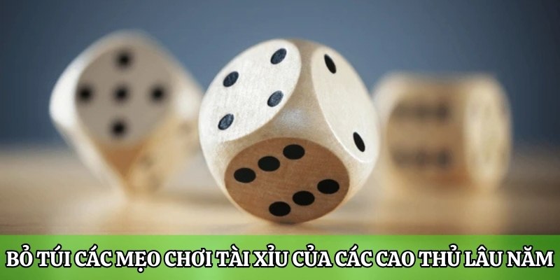 Bỏ túi các mẹo chơi tài xỉu của các cao thủ lâu năm